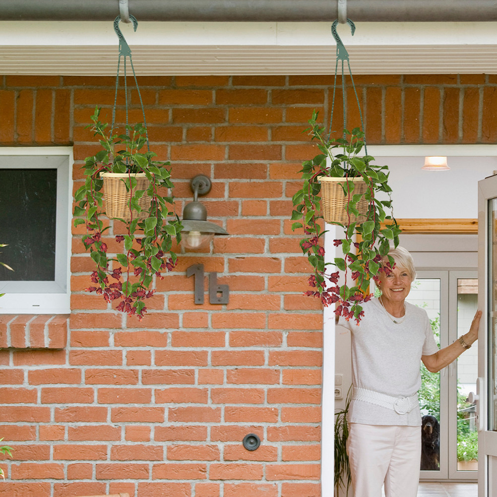 5Pcs Hanging Planter Hooks Set - огляд і ціна Spider Plant Hanging