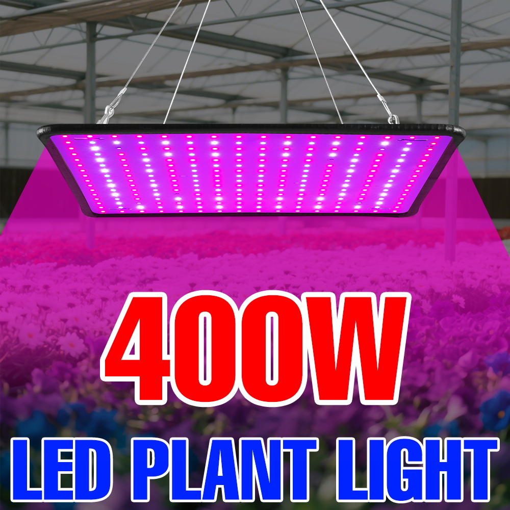 400W LED Grow Light Full Spect - огляд і ціна Echeveria Succulent