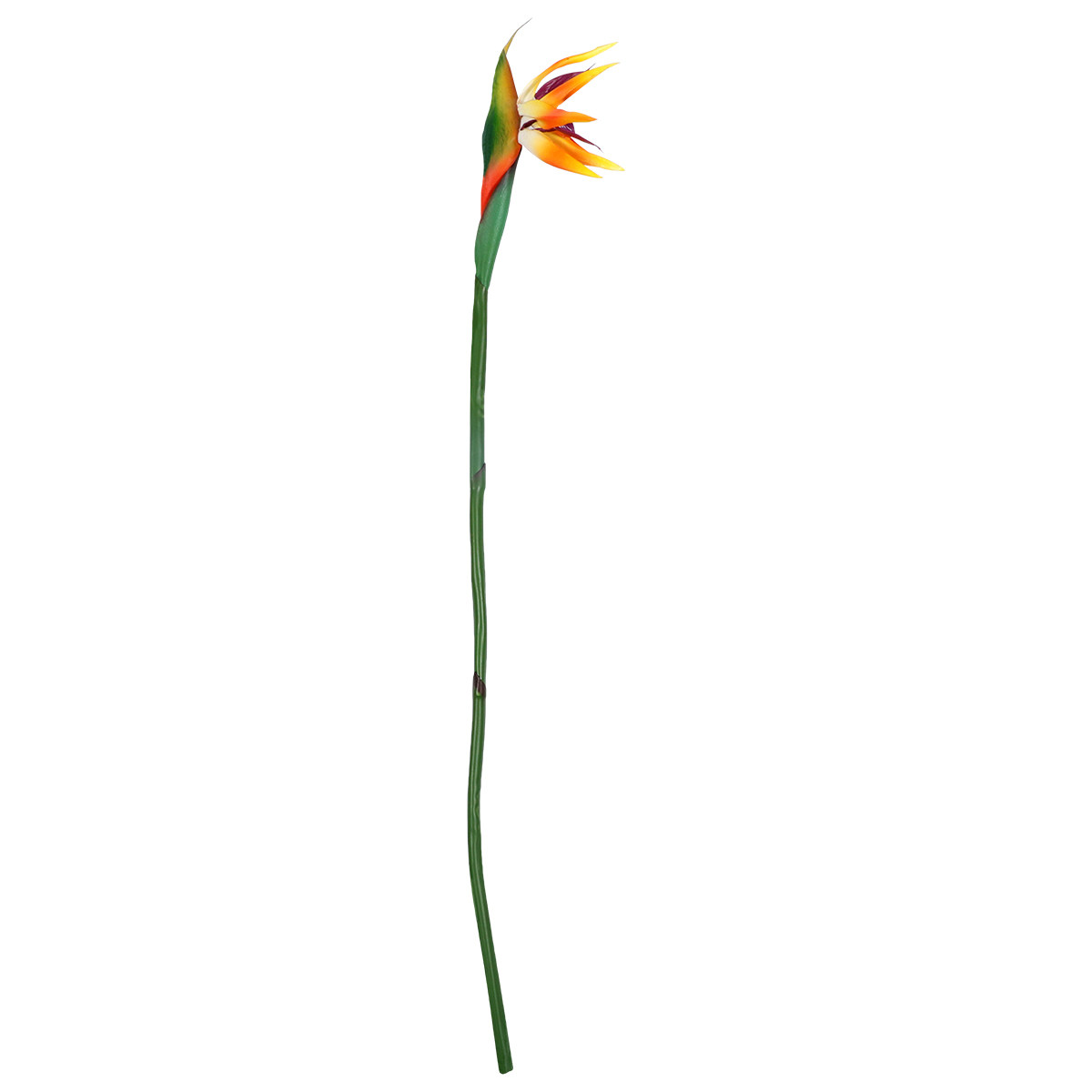 Artificial Strelitzia Flower R - огляд і ціна Bird Paradise Strelitzia