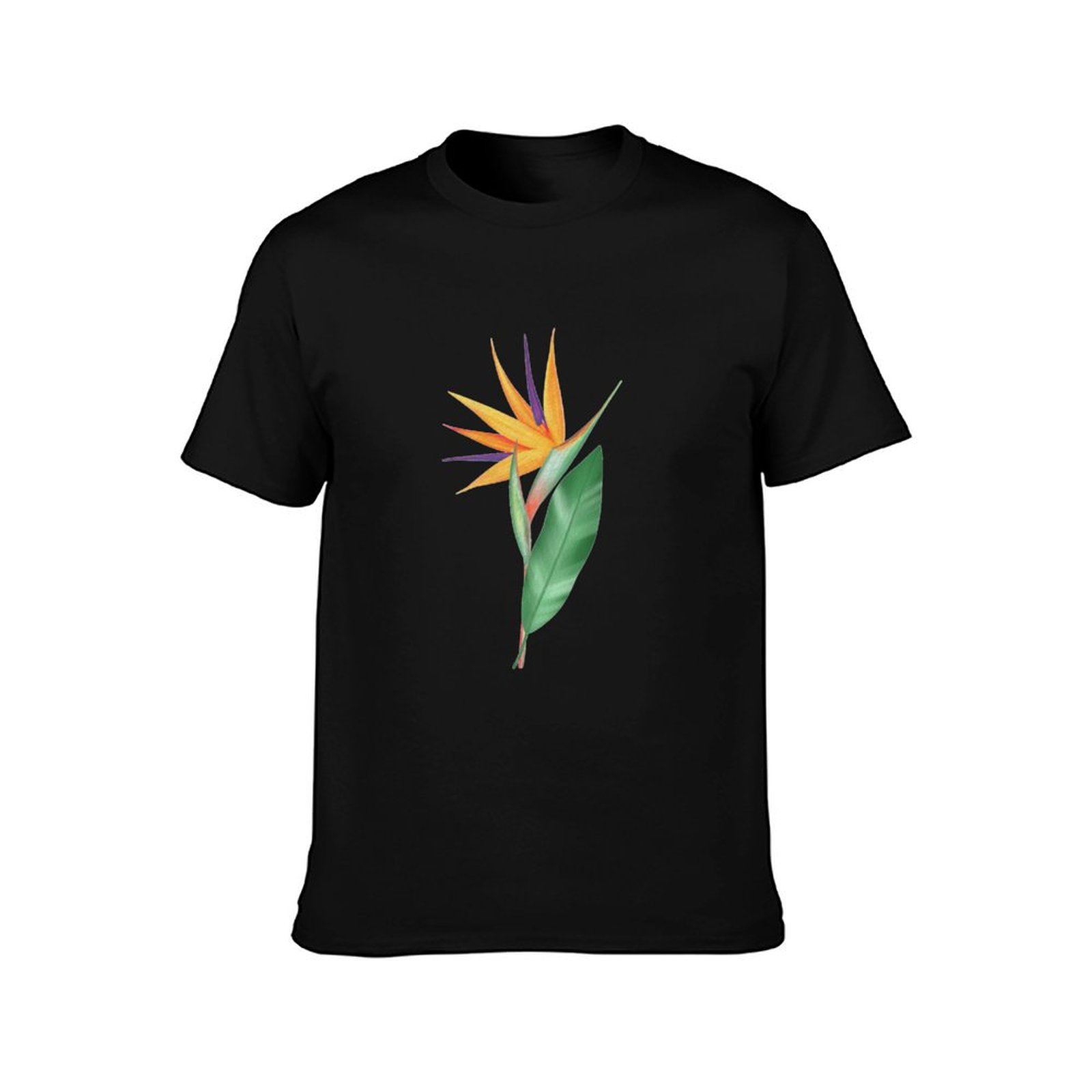 Watercolor bird of paradise fl - огляд і ціна Bird Paradise Strelitzia