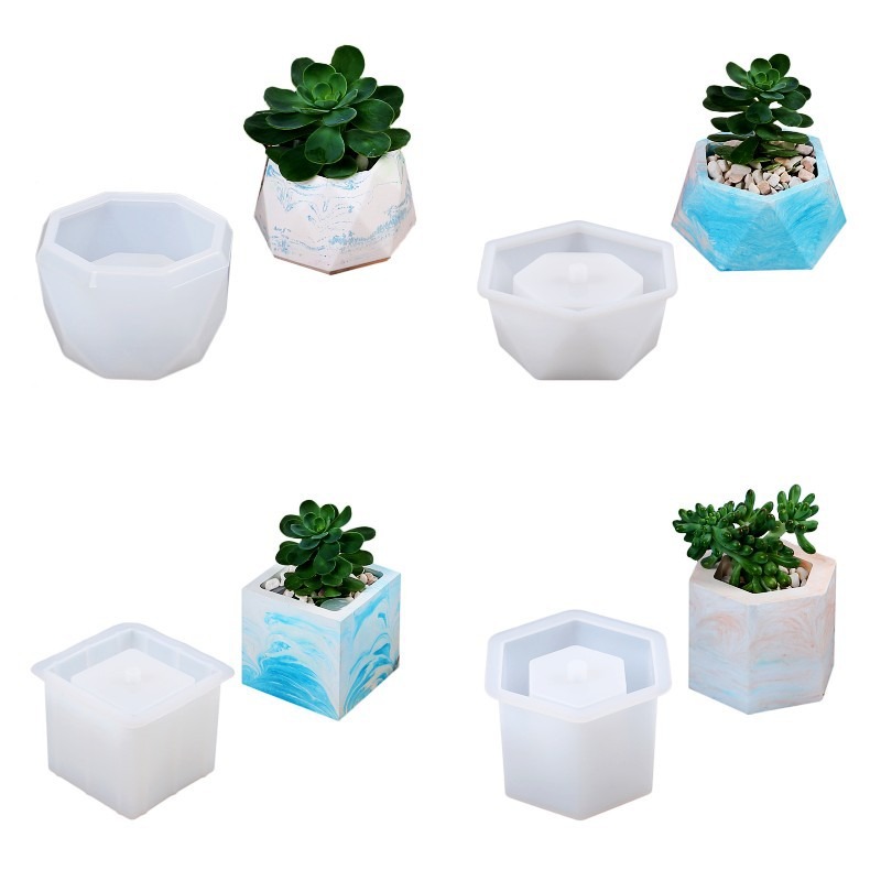 Succulent Flowerpot Silicone M - огляд і ціна Echeveria Succulent